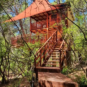  Hébergement de vacances Treehouses Glamping Robinson